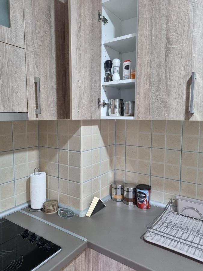 Apartman Ristanovic Banja Koviljača المظهر الخارجي الصورة